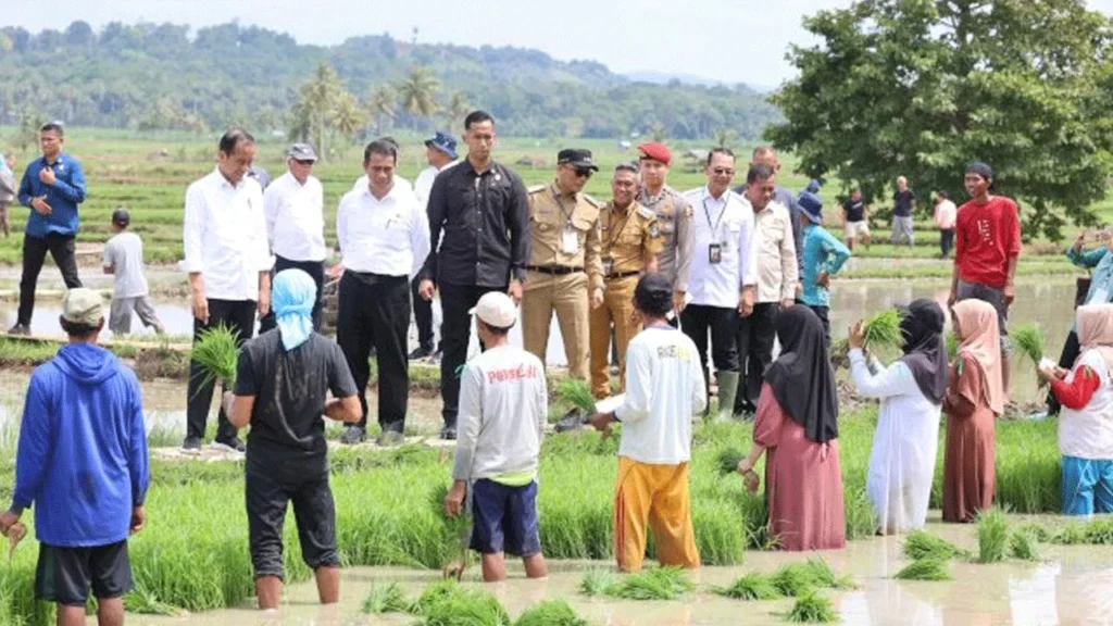 Mentan Makin On Fire Dampingi Presiden Jokowi Tinjau Pompanisasi di Bantaeng