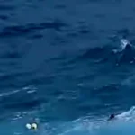 2 Pemancing Terjatuh di Pantai Santigi NTT Satu Tewas dan Satu Hilang
